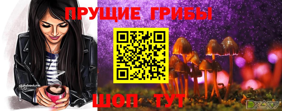 Псилоцибиновые грибы MAGIC MUSHROOMS  Вход с VPN  даркнет сайт  Краснознаменск 